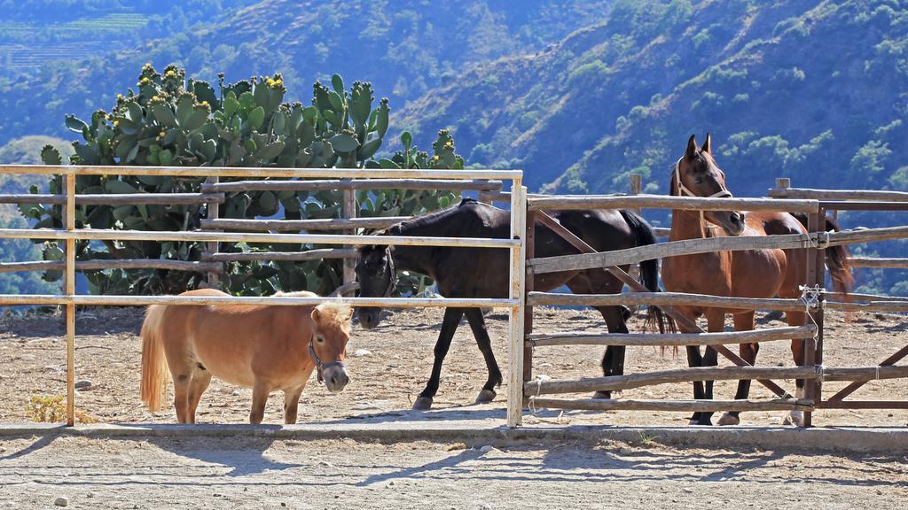 San Cataldo Farm stay *