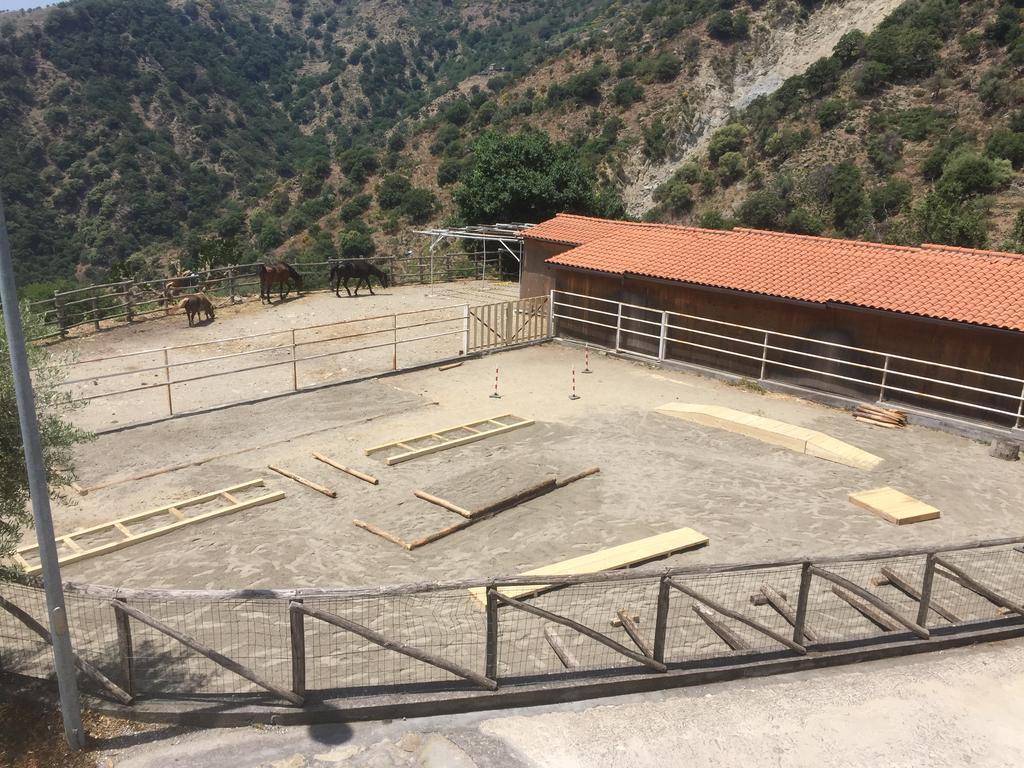 Farm stay San Cataldo