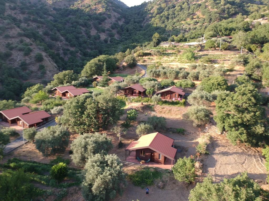 Farm stay San Cataldo *