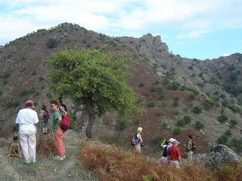 San Cataldo Motta Camastra