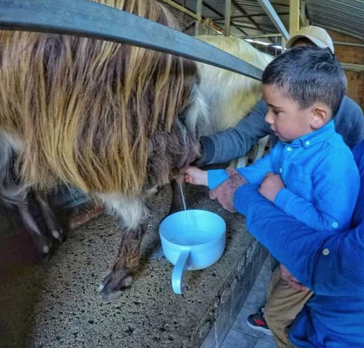 San Cataldo Farm stay Motta Camastra